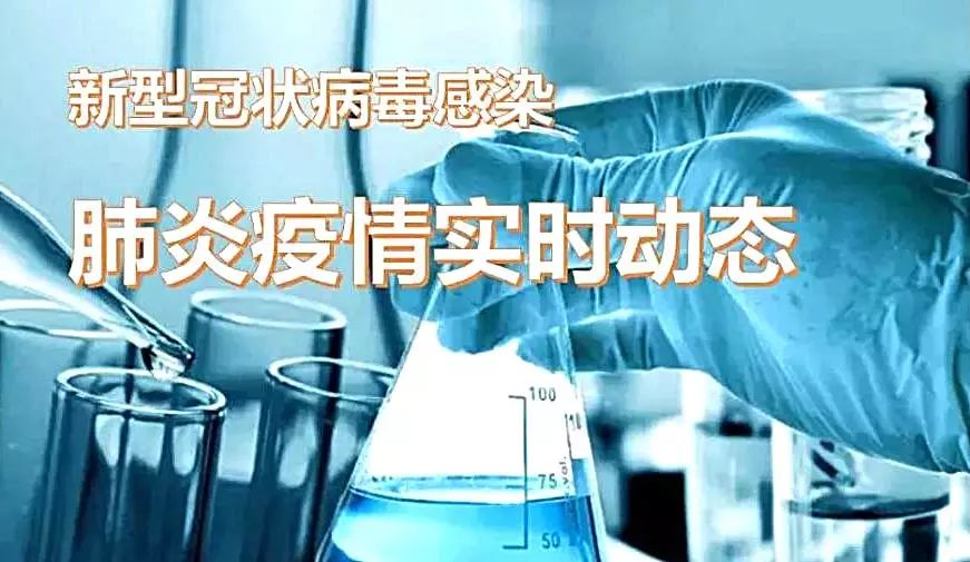 最新肺炎實時,最新肺炎實時，全面步驟指南
