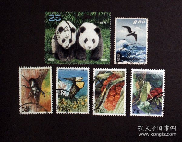 帶你走進(jìn)奇妙動物世界，最新動物圖片欣賞！