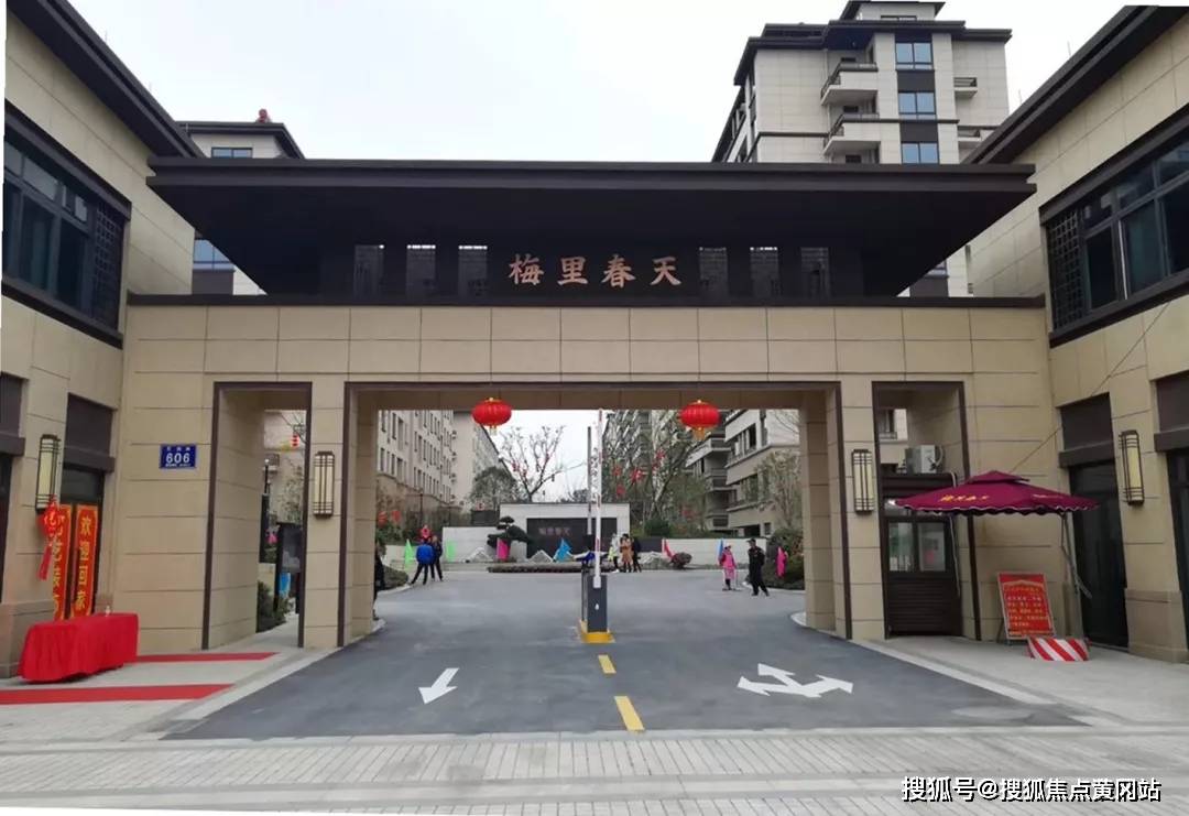 全球蝗災(zāi)最新動(dòng)態(tài)，影響、應(yīng)對與全球關(guān)注